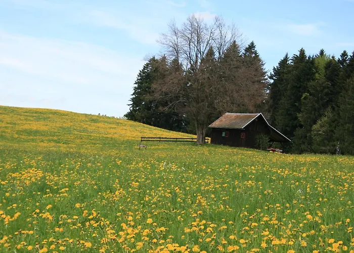 Allgaeuer Hof Hotel Oberstaufen