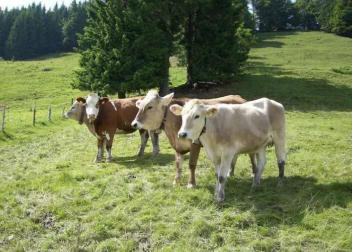 Hotel Allgaeuer Hof Oberstaufen