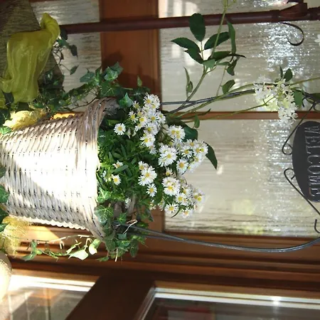 Allgaeuer Hof Hotel 3*