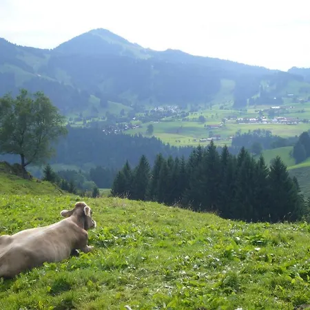Kur- Und Aktivhotel Allgäuer Hof Hotel 3*