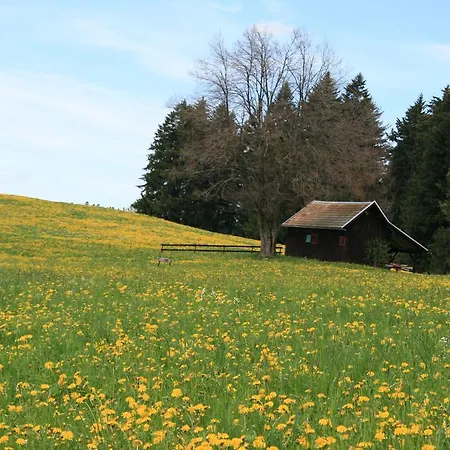 Allgaeuer Hof Hotel Oberstaufen